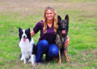 Dog Trainer in Land O’Lakes Florida