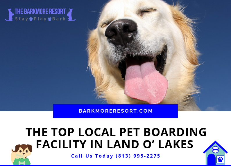 Local Pet Boarding Facility in Land O' Lakes Florida
