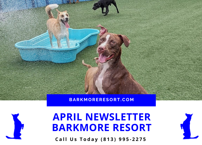 April 2024 Monthly Newsletter